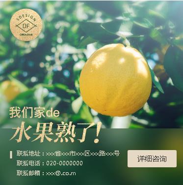 威宁果园果林小程序开发